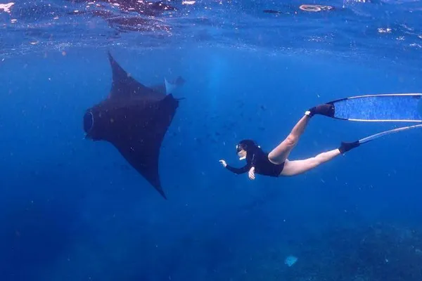Nusa Penida Island Activities - Manta tour